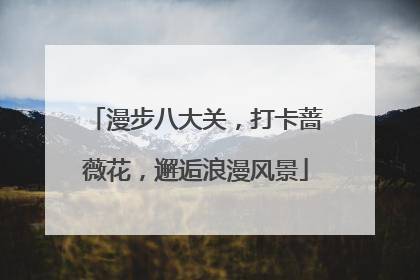 漫步八大关，打卡蔷薇花，邂逅浪漫风景