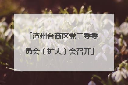 漳州台商区党工委委员会（扩大）会召开