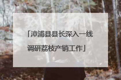 漳浦县县长深入一线调研荔枝产销工作