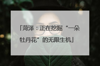 菏泽：正在挖掘“一朵牡丹花”的无限生机