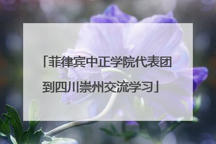 菲律宾中正学院代表团到四川崇州交流学习