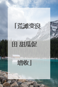 荒滩变良田 甜瓜促增收