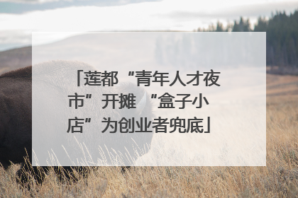 莲都“青年人才夜市”开摊 “盒子小店”为创业者兜底