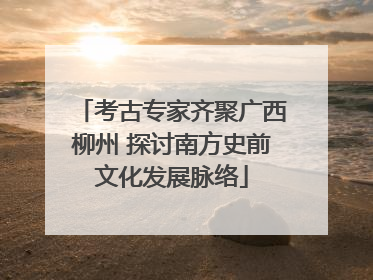 考古专家齐聚广西柳州 探讨南方史前文化发展脉络