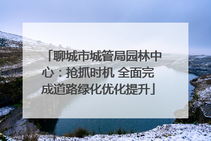 聊城市城管局园林中心：抢抓时机 全面完成道路绿化优化提升
