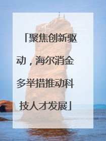 聚焦创新驱动，海尔消金多举措推动科技人才发展