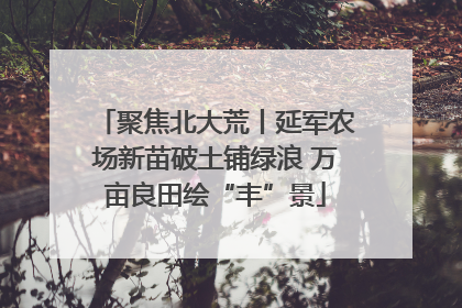 聚焦北大荒丨延军农场新苗破土铺绿浪 万亩良田绘“丰”景