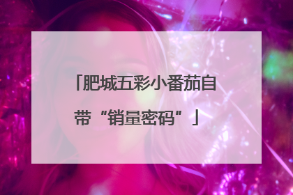 肥城五彩小番茄自带“销量密码”
