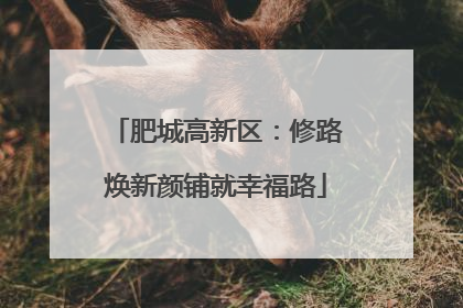 肥城高新区：修路焕新颜铺就幸福路