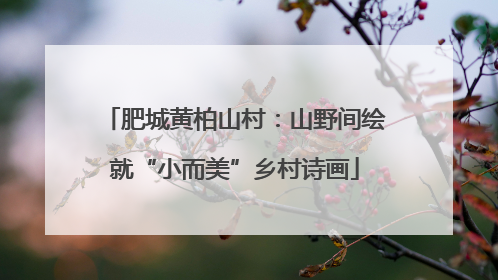 肥城黄柏山村：山野间绘就“小而美”乡村诗画