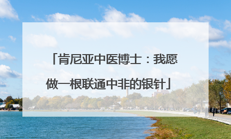 肯尼亚中医博士：我愿做一根联通中非的银针