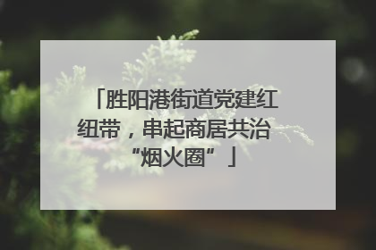 胜阳港街道党建红纽带，串起商居共治 “烟火圈”