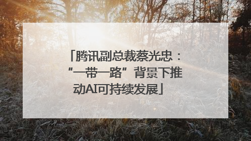 腾讯副总裁蔡光忠：“一带一路”背景下推动AI可持续发展