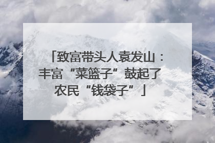 致富带头人袁发山：丰富“菜篮子”鼓起了农民“钱袋子”