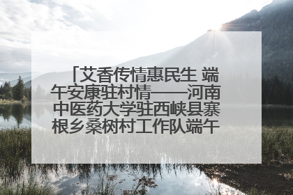 艾香传情惠民生 端午安康驻村情——河南中医药大学驻西峡县寨根乡桑树村工作队端午中医惠民记