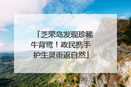 芝罘岛发现珍稀牛背鹭！政民携手护生灵重返自然
