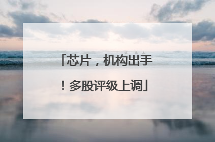 芯片，机构出手！多股评级上调