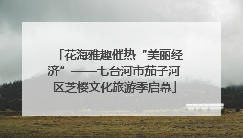 花海雅趣催热“美丽经济”——七台河市茄子河区芝樱文化旅游季启幕