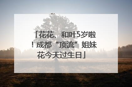 花花、和叶5岁啦！成都“顶流”姐妹花今天过生日