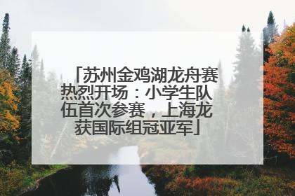 苏州金鸡湖龙舟赛热烈开场：小学生队伍首次参赛，上海龙获国际组冠亚军