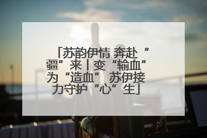 苏韵伊情 奔赴“疆”来丨变“输血”为“造血” 苏伊接力守护“心”生
