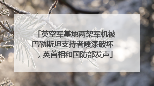 英空军基地两架军机被巴勒斯坦支持者喷漆破坏，英首相和国防部发声
