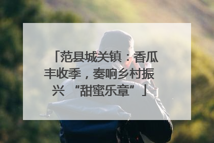 范县城关镇：香瓜丰收季，奏响乡村振兴 “甜蜜乐章”