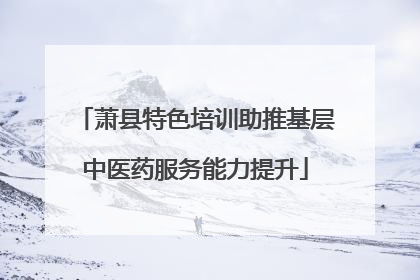 萧县特色培训助推基层中医药服务能力提升