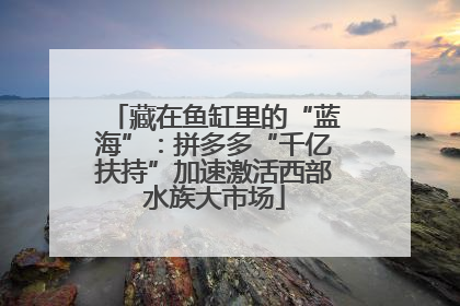 藏在鱼缸里的“蓝海”：拼多多“千亿扶持”加速激活西部水族大市场