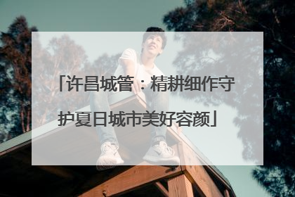 许昌城管：精耕细作守护夏日城市美好容颜