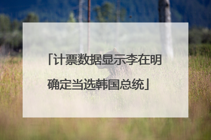 计票数据显示李在明确定当选韩国总统