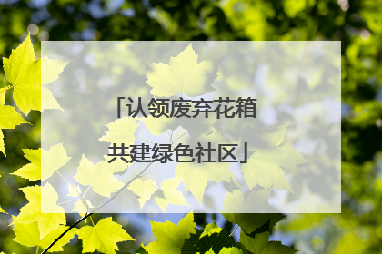 认领废弃花箱 共建绿色社区