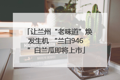 让兰州“老味道”焕发生机 “兰白946”白兰瓜即将上市