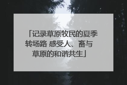 记录草原牧民的夏季转场路 感受人、畜与草原的和谐共生