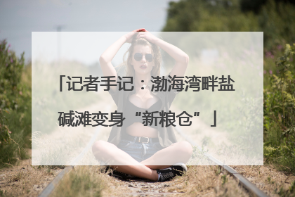 记者手记：渤海湾畔盐碱滩变身“新粮仓”