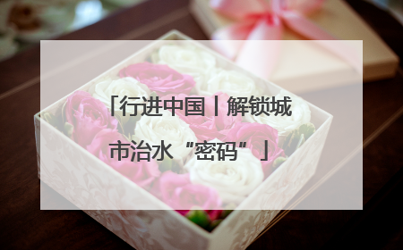 行进中国丨解锁城市治水“密码”