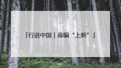 行进中国｜藤编“上新”
