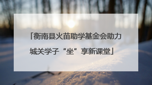 衡南县火苗助学基金会助力城关学子“坐”享新课堂