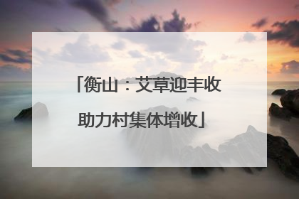 衡山：艾草迎丰收 助力村集体增收