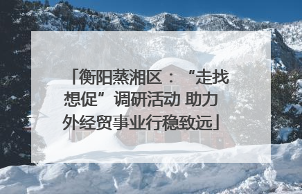 衡阳蒸湘区：“走找想促”调研活动 助力外经贸事业行稳致远