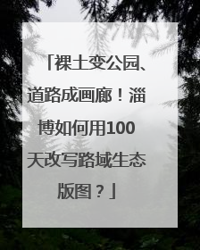 裸土变公园、道路成画廊！淄博如何用100天改写路域生态版图？