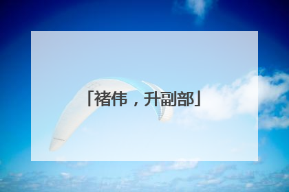 褚伟，升副部