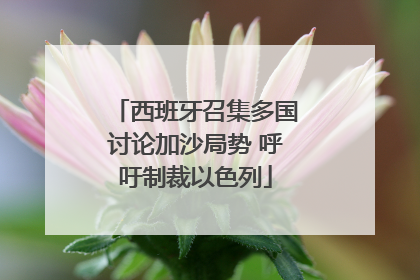 西班牙召集多国讨论加沙局势 呼吁制裁以色列