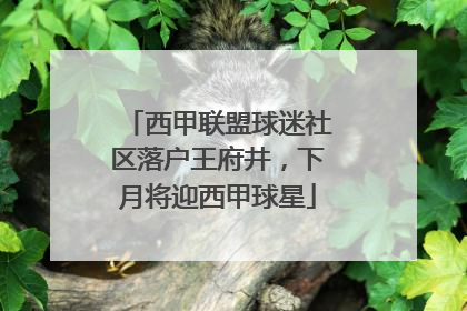西甲联盟球迷社区落户王府井，下月将迎西甲球星