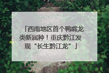 西南地区首个鸭嘴龙类新属种！重庆黔江发现“长生黔江龙”