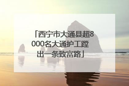 西宁市大通县超8000名大通护工蹚出一条致富路