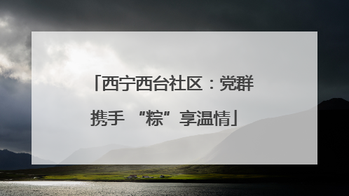 西宁西台社区：党群携手 “粽”享温情