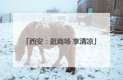 西安：逛商场 享清凉