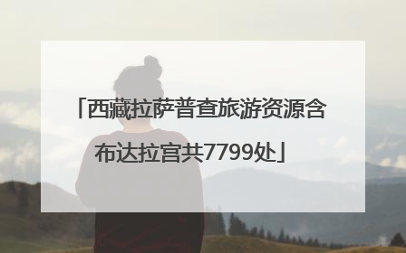 西藏拉萨普查旅游资源含布达拉宫共7799处