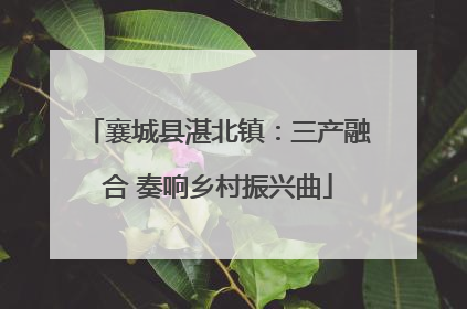 襄城县湛北镇：三产融合 奏响乡村振兴曲